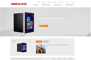 DIGILINK GROUP CO.,LTD网站建设项目