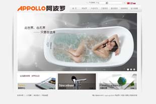 阿波罗（中国）有限公司网站建设项目