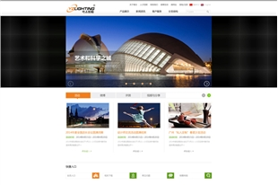 广州市粤志照明电器有限公司网站建设项