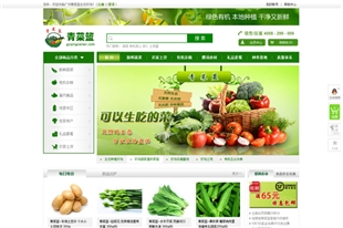广州青菜篮农业有限公司网站建设项目